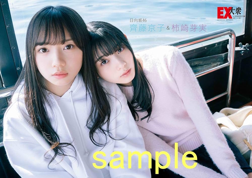 公評 2019年 04 月号 [雑誌] 911HVyDdA-L.jpg
